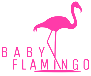 Baby Flamingo